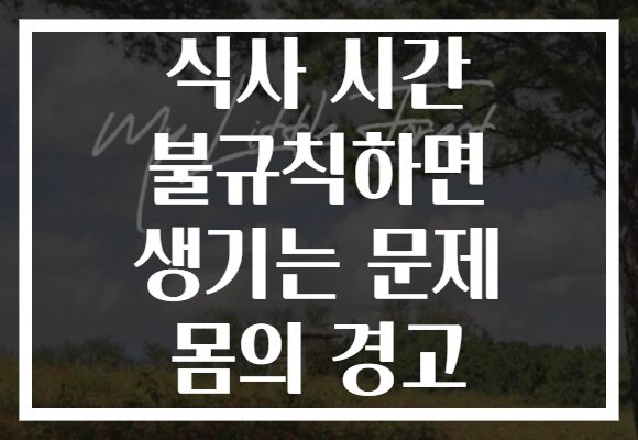 식사 시간 불규칙하면 생기는 문제 몸의 경고