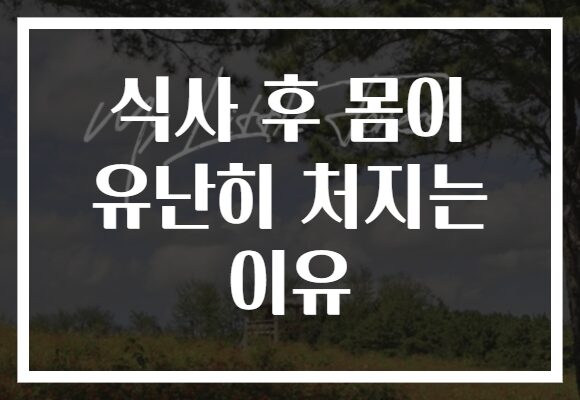 식사 후 몸이 유난히 처지는 이유