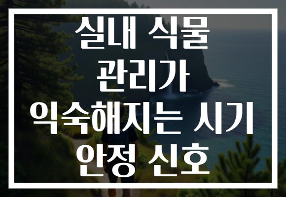 실내 식물 관리가 익숙해지는 시기 안정 신호