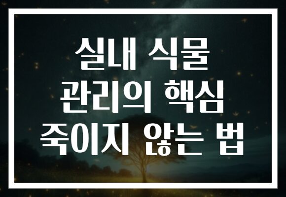 실내 식물 관리의 핵심 죽이지 않는 법