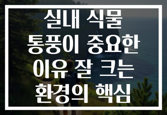 실내 식물 통풍이 중요한 이유 잘 크는 환경의 핵심 실내 식물 통풍이 중요한 이유 잘 크는 환경의 핵심