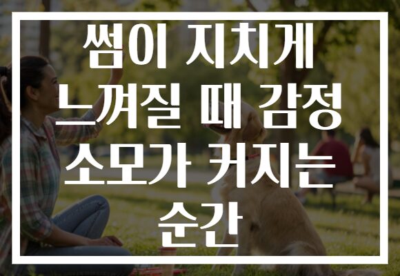 썸이 지치게 느껴질 때 감정 소모가 커지는 순간