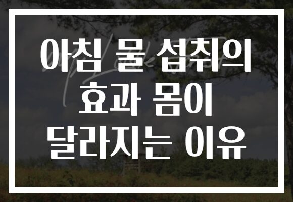 아침 물 섭취의 효과 몸이 달라지는 이유