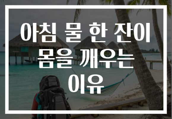 아침 물 한 잔이 몸을 깨우는 이유