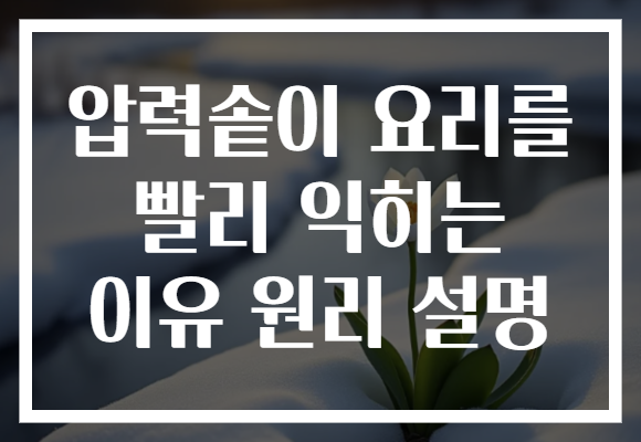 압력솥이 요리를 빨리 익히는 이유 원리 설명