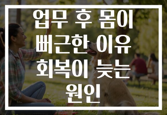 업무 후 몸이 뻐근한 이유 회복이 늦는 원인