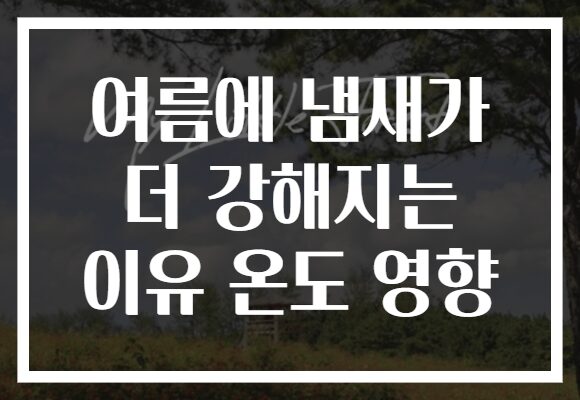 여름에 냄새가 더 강해지는 이유 온도 영향