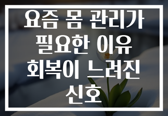 요즘 몸 관리가 필요한 이유 회복이 느려진 신호 요즘 몸 관리가 필요한 이유 회복이 느려진 신호