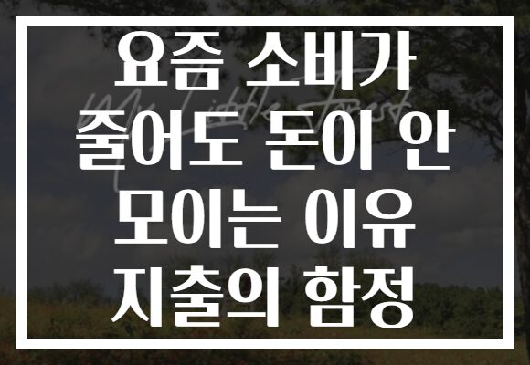 요즘 소비가 줄어도 돈이 안 모이는 이유 지출의 함정