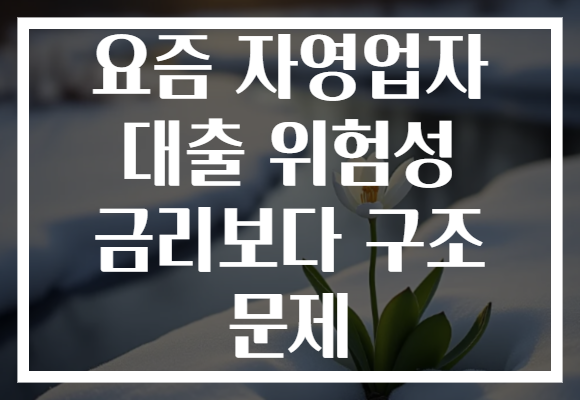 요즘 자영업자 대출 위험성 금리보다 구조 문제 요즘 자영업자 대출 위험성 금리보다 구조 문제