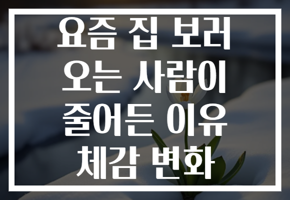요즘 집 보러 오는 사람이 줄어든 이유 체감 변화