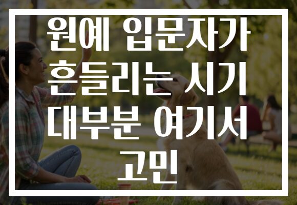 원예 입문자가 흔들리는 시기 대부분 여기서 고민 원예 입문자가 흔들리는 시기 대부분 여기서 고민