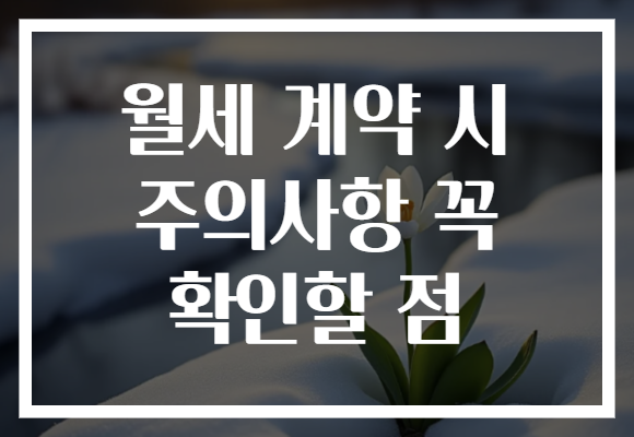 월세 계약 시 주의사항 꼭 확인할 점 월세 계약 시 주의사항 꼭 확인할 점