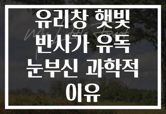 유리창 햇빛 반사가 유독 눈부신 과학적 이유