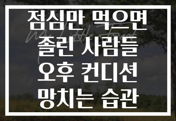 점심만 먹으면 졸린 사람들 오후 컨디션 망치는 습관