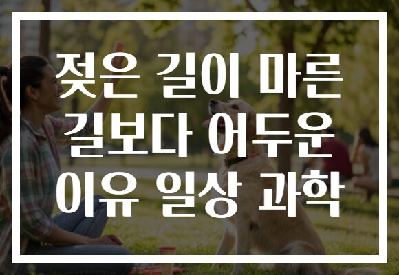 젖은 길이 마른 길보다 어두운 이유 일상 과학