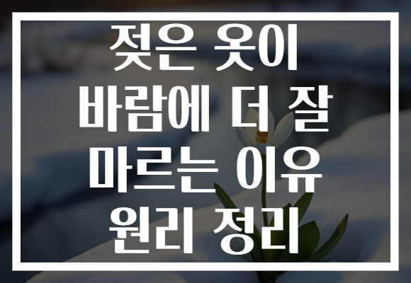 젖은 옷이 바람에 더 잘 마르는 이유 원리 정리