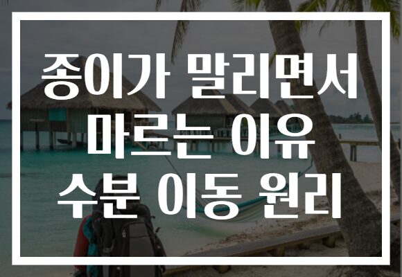 종이가 말리면서 마르는 이유 수분 이동 원리 종이가 말리면서 마르는 이유 수분 이동 원리