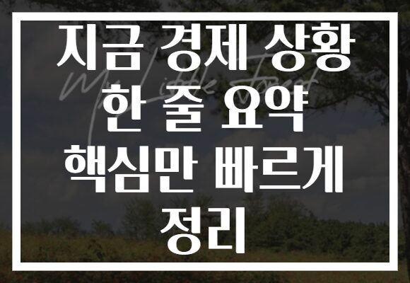 지금 경제 상황 한 줄 요약 핵심만 빠르게 정리 지금 경제 상황 한 줄 요약 핵심만 빠르게 정리