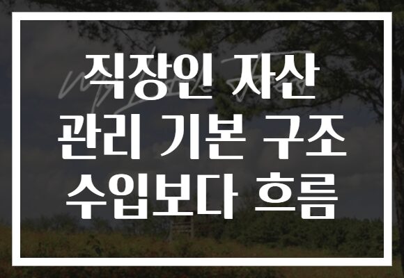 직장인 자산 관리 기본 구조 수입보다 흐름 직장인 자산 관리 기본 구조 수입보다 흐름