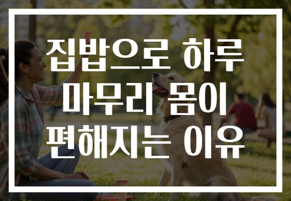 집밥으로 하루 마무리 몸이 편해지는 이유