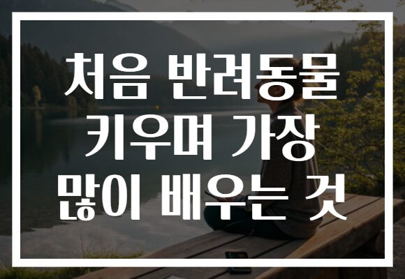 처음 반려동물 키우며 가장 많이 배우는 것
