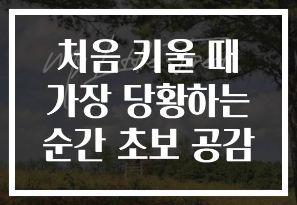 처음 키울 때 가장 당황하는 순간 초보 공감
