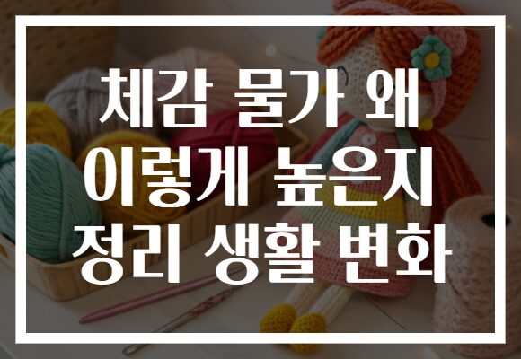 체감 물가 왜 이렇게 높은지 정리 생활 변화