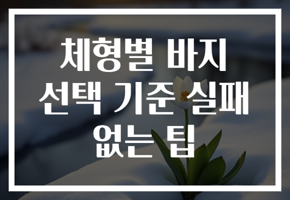 체형별 바지 선택 기준 실패 없는 팁 체형별 바지 선택 기준 실패 없는 팁