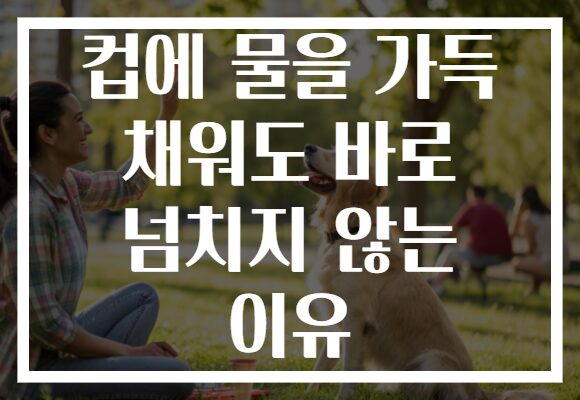 컵에 물을 가득 채워도 바로 넘치지 않는 이유