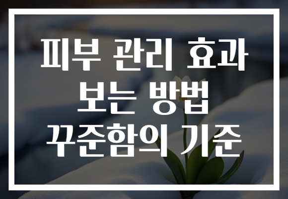 피부 관리 효과 보는 방법 꾸준함의 기준 피부 관리 효과 보는 방법 꾸준함의 기준