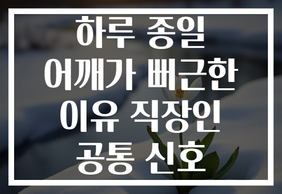 하루 종일 어깨가 뻐근한 이유 직장인 공통 신호