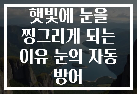 햇빛에 눈을 찡그리게 되는 이유 눈의 자동 방어 햇빛에 눈을 찡그리게 되는 이유 눈의 자동 방어