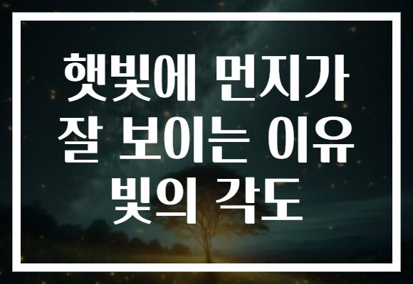 햇빛에 먼지가 잘 보이는 이유 빛의 각도 햇빛에 먼지가 잘 보이는 이유 빛의 각도