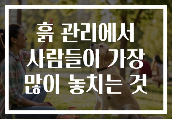 흙 관리에서 사람들이 가장 많이 놓치는 것