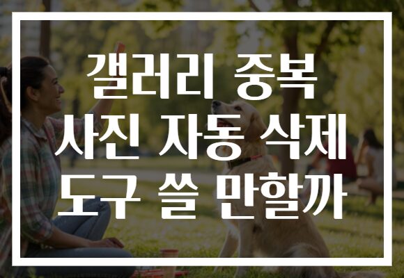 갤러리 중복 사진 자동 삭제 도구 쓸 만할까