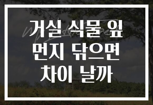 거실 식물 잎 먼지 닦으면 차이 날까