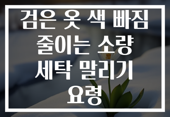 검은 옷 색 빠짐 줄이는 소량 세탁 말리기 요령