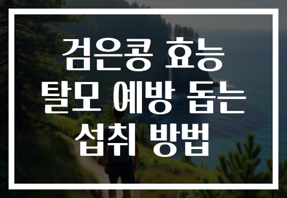 검은콩 효능 탈모 예방 돕는 섭취 방법