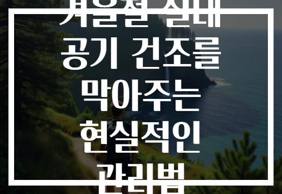 겨울철 실내 공기 건조를 막아주는 현실적인 관리법 겨울철 실내 공기 건조를 막아주는 현실적인 관리법