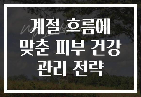 계절 흐름에 맞춘 피부 건강 관리 전략