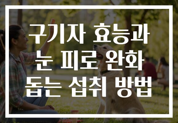 구기자 효능과 눈 피로 완화 돕는 섭취 방법