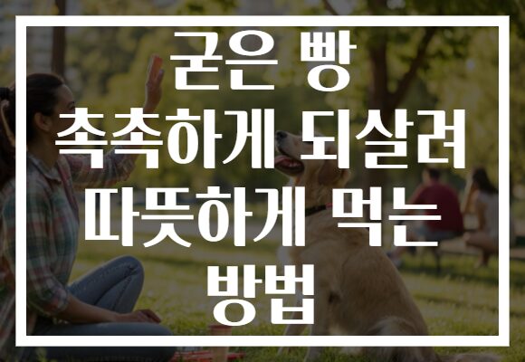 굳은 빵 촉촉하게 되살려 따뜻하게 먹는 방법