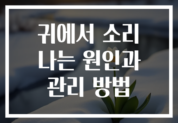 귀에서 소리 나는 원인과 관리 방법 귀에서 소리 나는 원인과 관리 방법