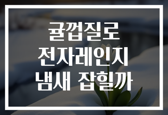 귤껍질로 전자레인지 냄새 잡힐까