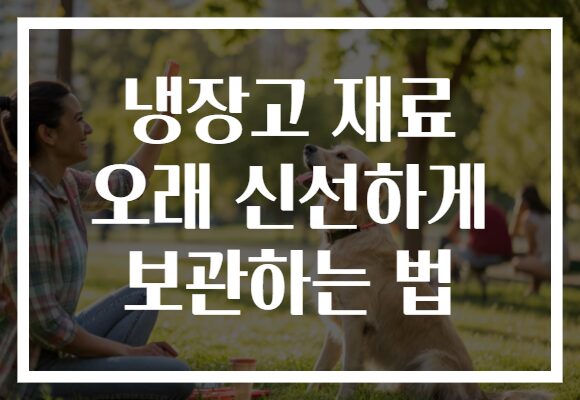 냉장고 재료 오래 신선하게 보관하는 법