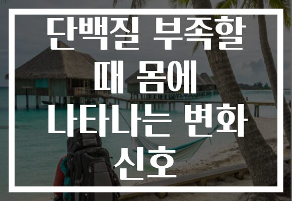 단백질 부족할 때 몸에 나타나는 변화 신호