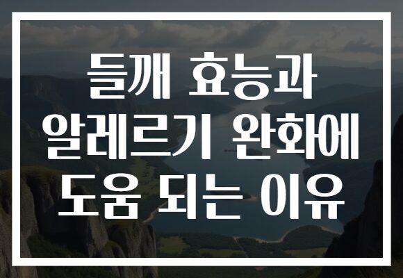들깨 효능과 알레르기 완화에 도움 되는 이유