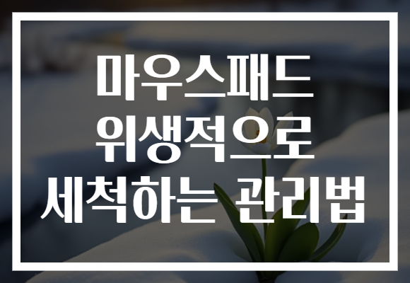 마우스패드 위생적으로 세척하는 관리법