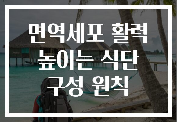 면역세포 활력 높이는 식단 구성 원칙